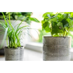 Bloempot Denise - D19 X H19cm - Off White -Woondecoratie Winkel bloempot denise d19 x h19cm off white bloempot 3