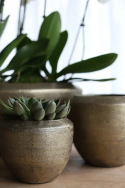 Bloempot Kos - D30 X H27cm - Goud -Woondecoratie Winkel bloempot kos goud bloempot 2 1