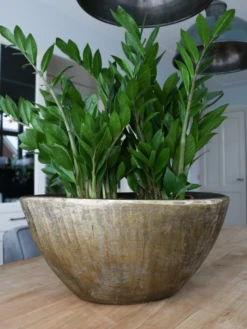 Bloempot Kos Ovaal - L55 X B23 X H29cm - Goud 6 Bloempot Kos Ovaal - L55 X B23 X H29cm - Goud -Woondecoratie Winkel bloempot kos ovaal goud bloempot 2 1 1