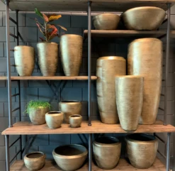 Plantenschaal Kos - D45 X H20cm - Goud -Woondecoratie Winkel bloempot kos serie goud bloempot 3 1 1