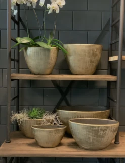 Bloempot Kos Ovaal - L49 X B21 X H37cm - Goud -Woondecoratie Winkel bloempot kos serie ovaal goud bloempot 3 1 3