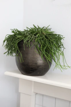 Bloempot Tokio - D32 X H30cm - Goud -Woondecoratie Winkel bloempot tokio goud bloempot 2 1 1