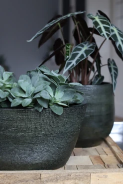 Bloempot Tokio Ovaal - L52 X B17 X H37cm - Groen -Woondecoratie Winkel bloempot tokio ovaal groen bloempot 2 1 1