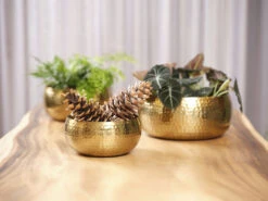 Plantenschaal Kody - D24 X H11cm - Goud -Woondecoratie Winkel bowl kody gold d24 h11 schaal 6 11