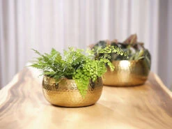 Plantenschaal Kody - D28 X H13cm - Goud -Woondecoratie Winkel bowl kody gold d28 h13 schaal 7 12