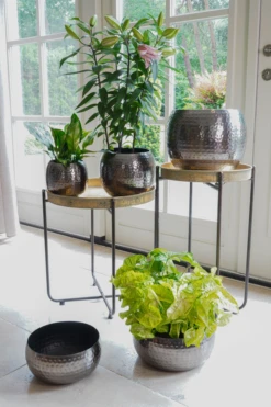 Plantenschaal Kody - D28 X H13cm - Lood -Woondecoratie Winkel bowl kody lead d28 h13 plantenschaal lood 6 6