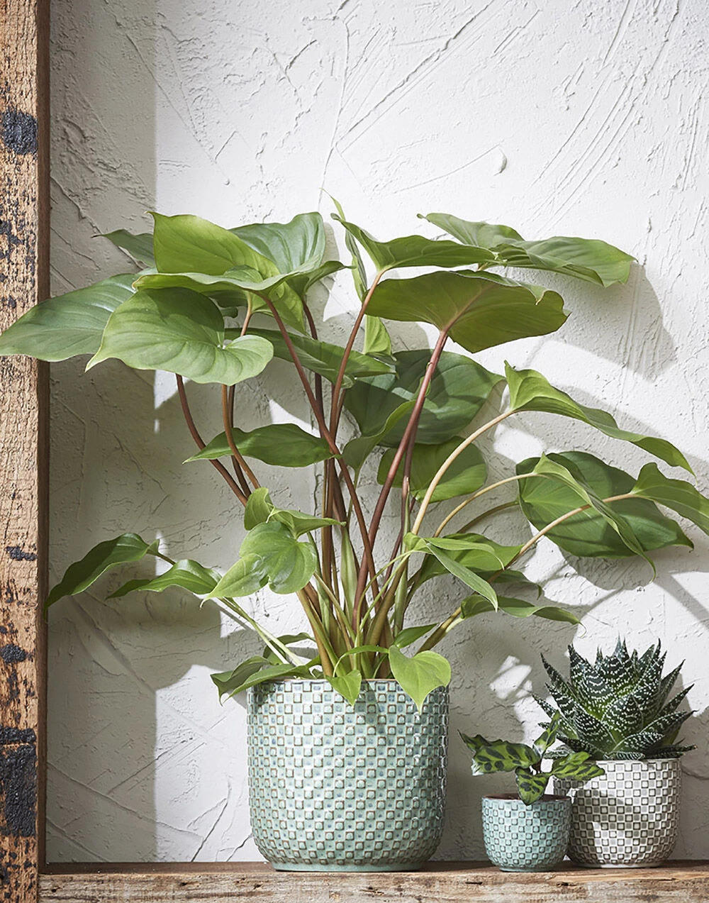 Bloempot Daan - D21.5 X H20.5cm - Groen 4 Bloempot Daan - D21.5 X H20.5cm - Groen - Afbeelding 2