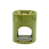 Geurchips Brander Shiny Groen - ScentChips -Woondecoratie Winkel geurchips brander shiny groen scentchips 1 1