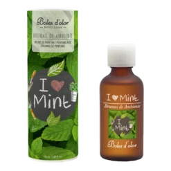 Geurolie I Love Mint 50ml - Boles D'olor
