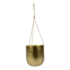Hangpot Kody - D16 X H18cm - Goud -Woondecoratie Winkel hanger kody gold d16 h18 hangpot 1 4