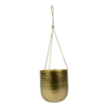 Hangpot Kody - D17 X H20cm - Goud 1 Hangpot Kody - D17 X H20cm - Goud -Woondecoratie Winkel hanger kody gold d17 h20 hangpot 1 4