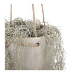 Hangpot Resa - D18,5 X H17cm - Lichtgrijs -Woondecoratie Winkel hangpot resa d18 5 x h17cm lichtgrijs hangpot 3 1