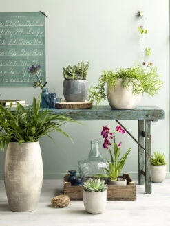 Bloempot Lester - D20 X H18cm - Lichtgrijs -Woondecoratie Winkel lester pot rond lgrijs h18xd20cm bloempot 7 12