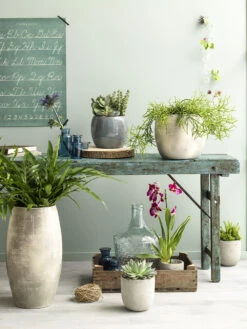 Bloempot Lester Hoog - D30 X H50cm - Donkerblauw -Woondecoratie Winkel lester vaas rond d blauw h50xd30cm bloempot 6 12