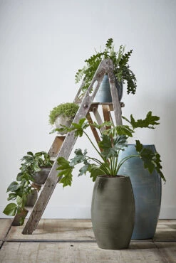 Bloempot Lester Hoog - D30 X H50cm - Groen 5 Bloempot Lester Hoog - D30 X H50cm - Groen -Woondecoratie Winkel lester vaas rond groen h50xd30cm bloempot 6 12