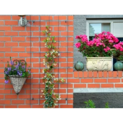 Nature - Metalen Klimrek Geplastificeerd Grijs H145x72,5cm 8 Nature - Metalen Klimrek Geplastificeerd Grijs H145x72,5cm -Woondecoratie Winkel nature metalen klimrek geplastificeerd grijs h145x72 5cm 3 2