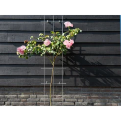 Nature - Metalen Klimrek Geplastificeerd Groen H145x42,5cm -Woondecoratie Winkel nature metalen klimrek geplastificeerd groen h145x42 5cm 3 2