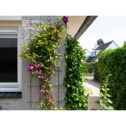 Nature - Metalen Klimrek Geplastificeerd Groen H145x57cm -Woondecoratie Winkel nature metalen klimrek geplastificeerd groen h145x57cm 3 2