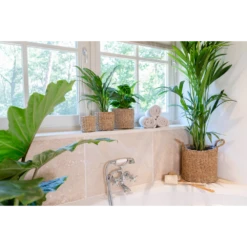 Plantenmand Joris - D42 X H36cm - Naturel 7 Plantenmand Joris - D42 X H36cm - Naturel -Woondecoratie Winkel plantenmand joris naturel plantenmand 3