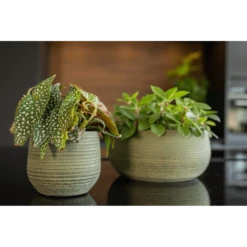 Plantenschaal Lydia - D28 X H13cm - Shiny Green 5 Plantenschaal Lydia - D28 X H13cm - Shiny Green -Woondecoratie Winkel plantenschaal lydia d28 x h13cm shiny green plantenschaal 2