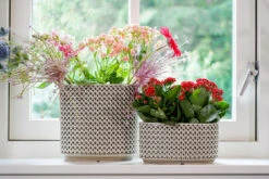 Bloempot Thies Ovaal - L26 X B12 X H13cm - Olijf Groen -Woondecoratie Winkel planter thies olive green d26x12 h13 bloempot 6 10