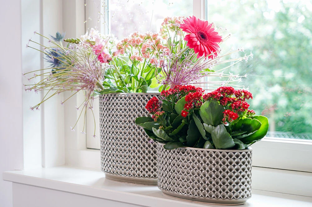 Bloempot Thies Ovaal - L26 X B12 X H25cm - Olijf Groen 4 Bloempot Thies Ovaal - L26 X B12 X H25cm - Olijf Groen - Afbeelding 2