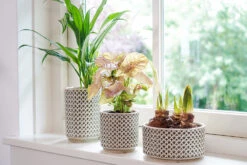 Bloempot Thies Hoog - D14 X H20cm - Olijf Groen -Woondecoratie Winkel pot hoog thies olive green d14 h20 bloempot 6 10