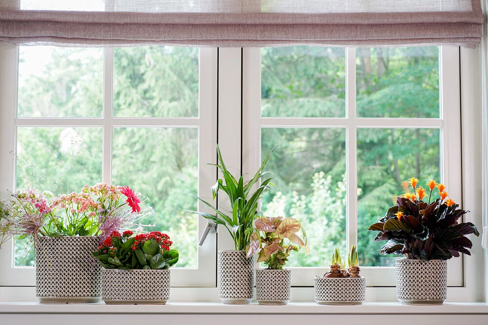 Bloempot Thies - D17 X H15cm - Olijf Groen 5 Bloempot Thies - D17 X H15cm - Olijf Groen - Afbeelding 3