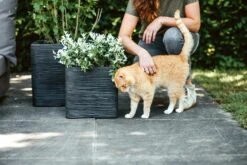 Capi Plantenbak Vierkant Nature Rib NL - L30 X B30 X H30cm - Zwart -Woondecoratie Winkel pot vierkant rib nl 30x30x30 zwart plantenbak 7 8