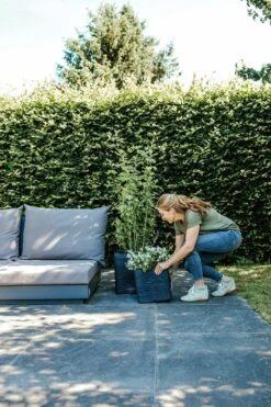 Capi Plantenbak Vierkant Nature Rib NL - L40 X B40 X H40cm - Zwart -Woondecoratie Winkel pot vierkant rib nl 40x40x40 zwart plantenbak 7 8