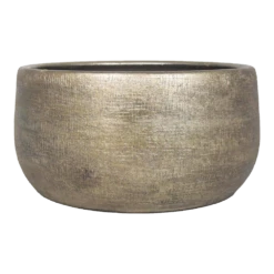 Plantenschaal Mira - D29 X H14cm - Goud