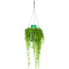 Senecio Herreianus - Erwtenplant - In Hangpot - P17 H40 - Kamerplant -Woondecoratie Winkel senecio herreianus erwtenplant in hangpot p17 h40 1