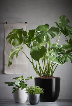 Bloempot Tusca - D39 X H34.5cm - Antraciet -Woondecoratie Winkel tusca pot rond antraciet h34 5xd39cm bloempot 6 11