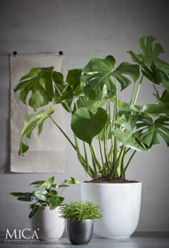 Bloempot Tusca - D35 X H31.5cm - Wit -Woondecoratie Winkel tusca pot rond wit h31 5xd35cm bloempot 6 11